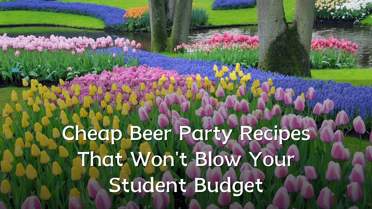 Cheap Beer Party Recipes That Won't Blow Your Student Budget