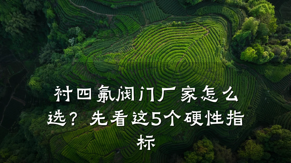 衬四氟阀门厂家怎么选?先看这5个硬性指标