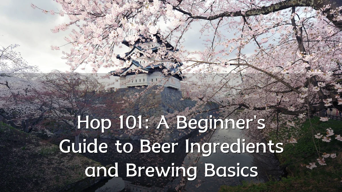 Hop 101: A Beginner's Guide to Beer Ingredients and Brewing Basics