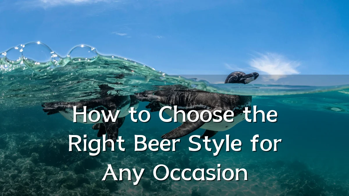 How to Choose the Right Beer Style for Any Occasion