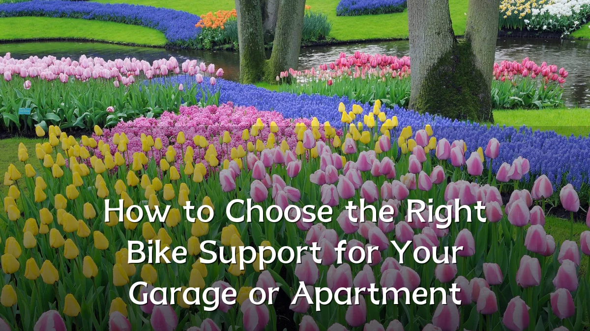How to Choose the Right Bike Support for Your Garage or Apartment