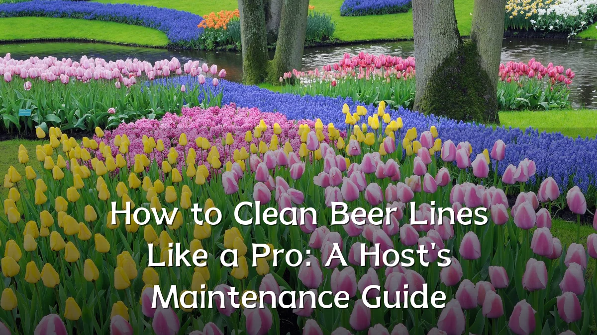 How to Clean Beer Lines Like a Pro: A Host's Maintenance Guide
