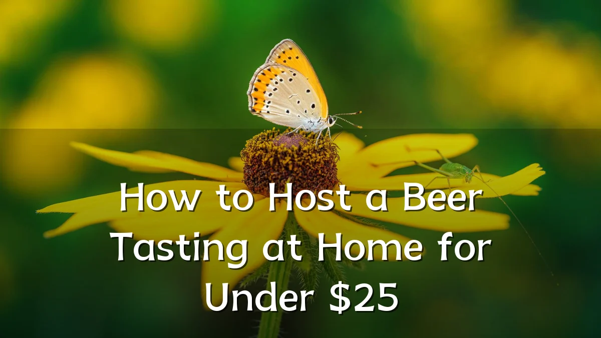 How to Host a Beer Tasting at Home for Under $25