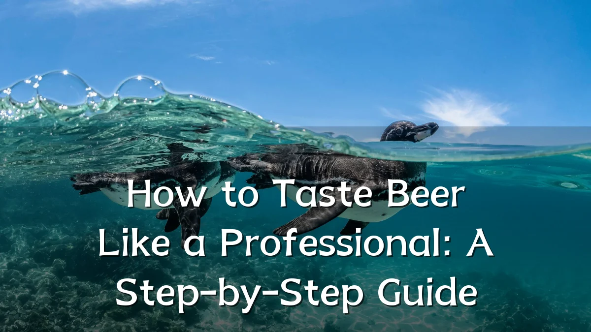 How to Taste Beer Like a Professional: A Step-by-Step Guide