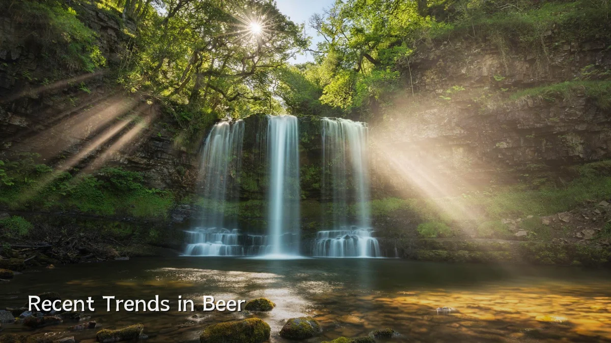 Recent Trends in Beer