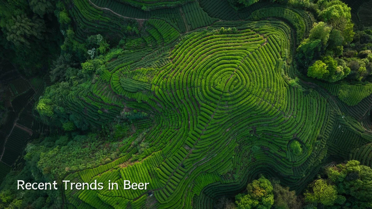 Recent Trends in Beer