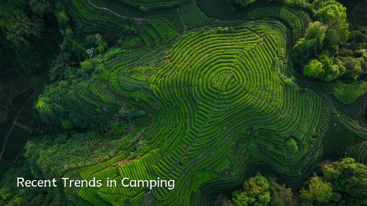 Recent Trends in Camping