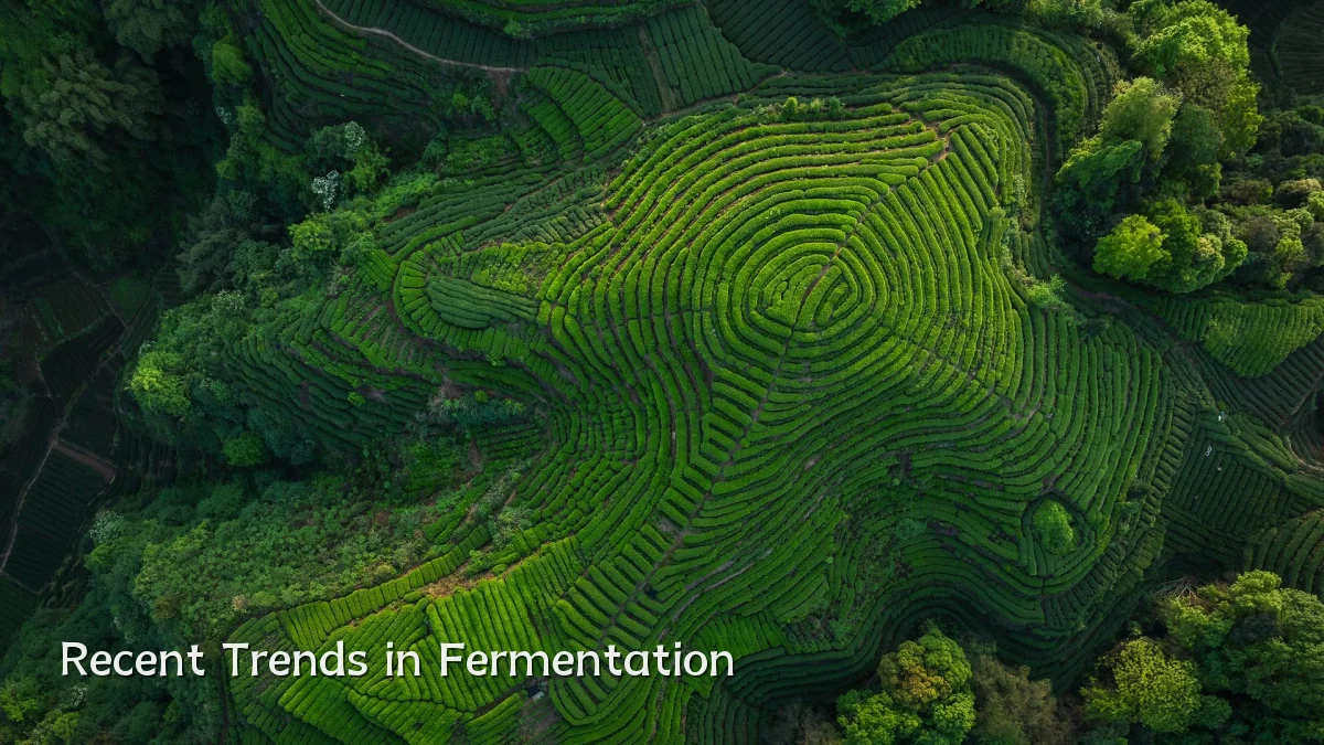 Recent Trends in Fermentation