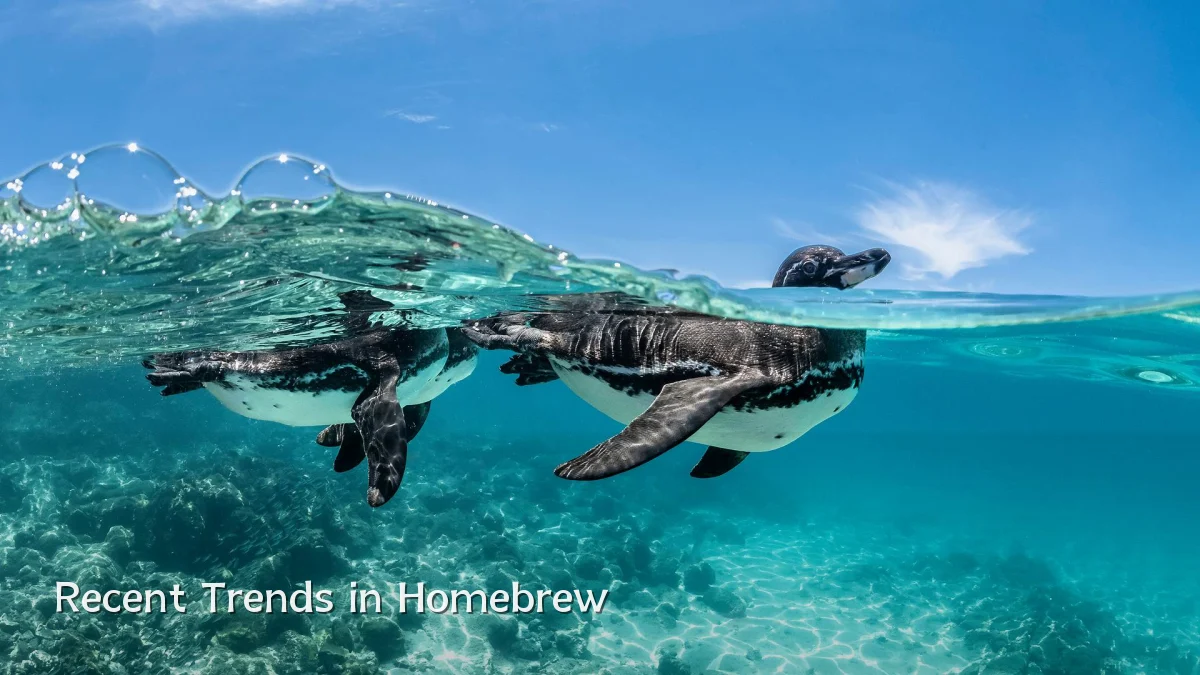 Recent Trends in Homebrew