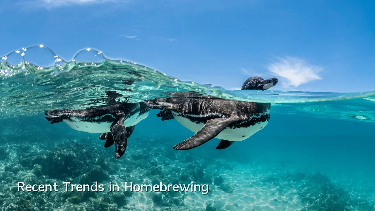 Recent Trends in Homebrewing