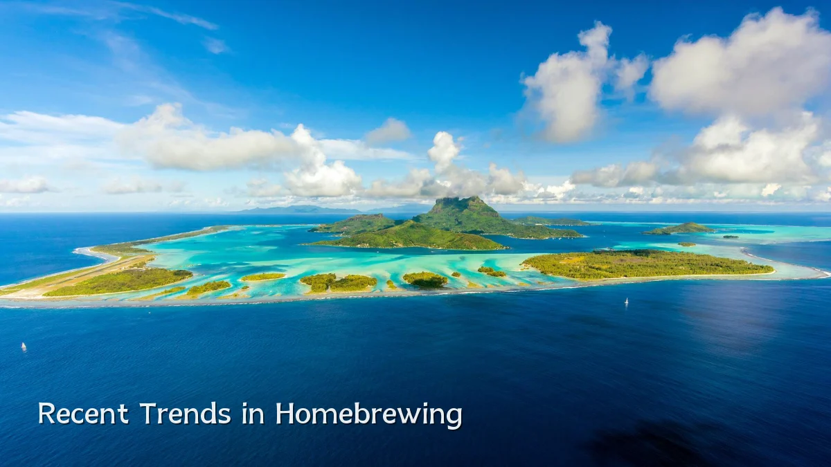 Recent Trends in Homebrewing