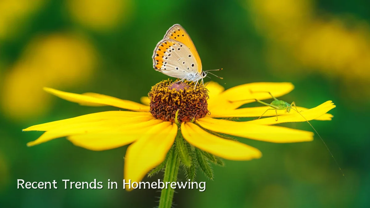 Recent Trends in Homebrewing