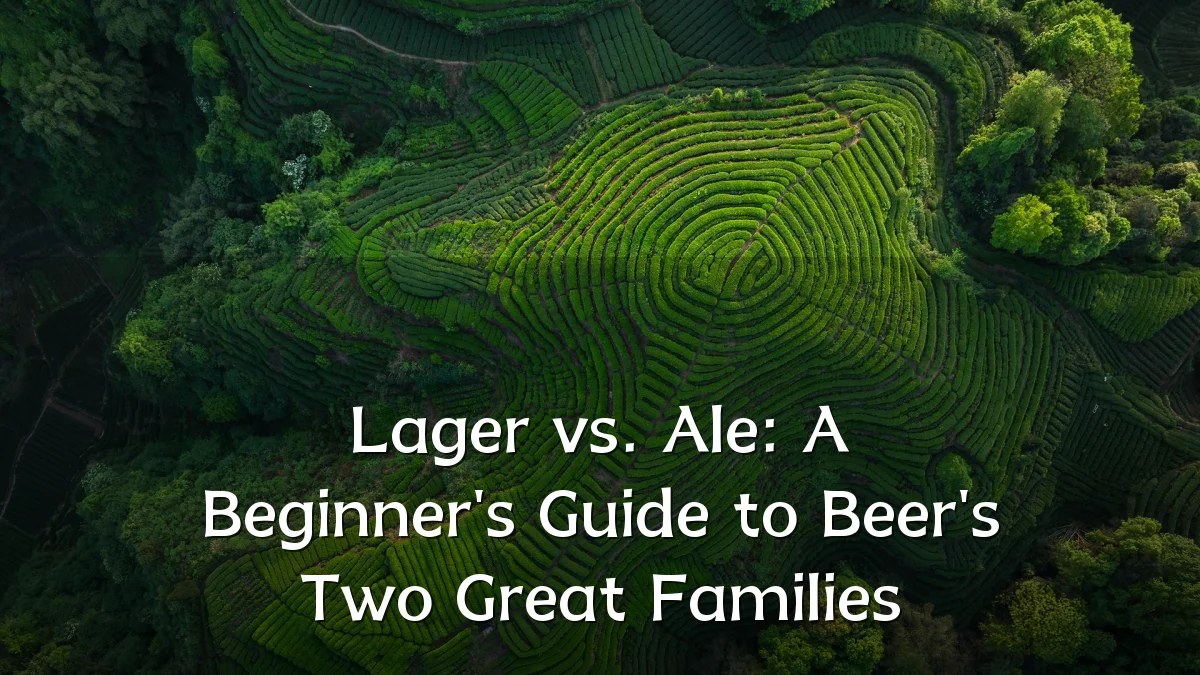 Lager vs. Ale: A Beginner's Guide to Beer's Two Great Families