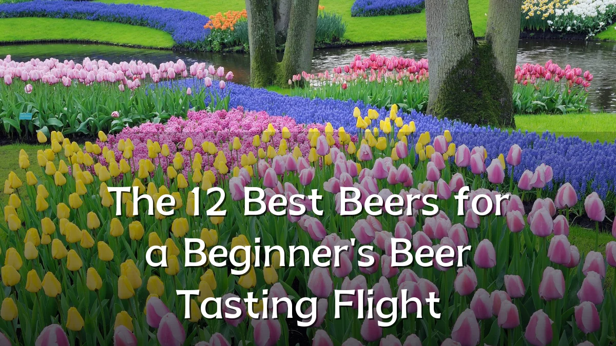 The 12 Best Beers for a Beginner's Beer Tasting Flight