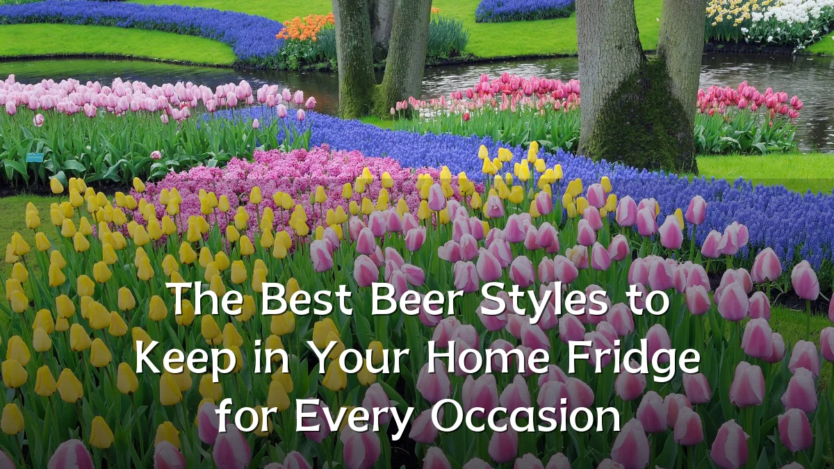 The Best Beer Styles to Keep in Your Home Fridge for Every Occasion