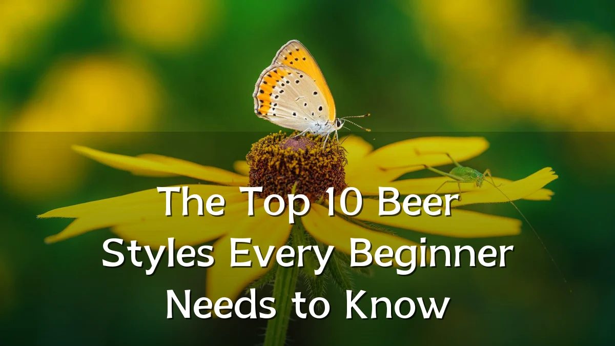 The Top 10 Beer Styles Every Beginner Needs to Know