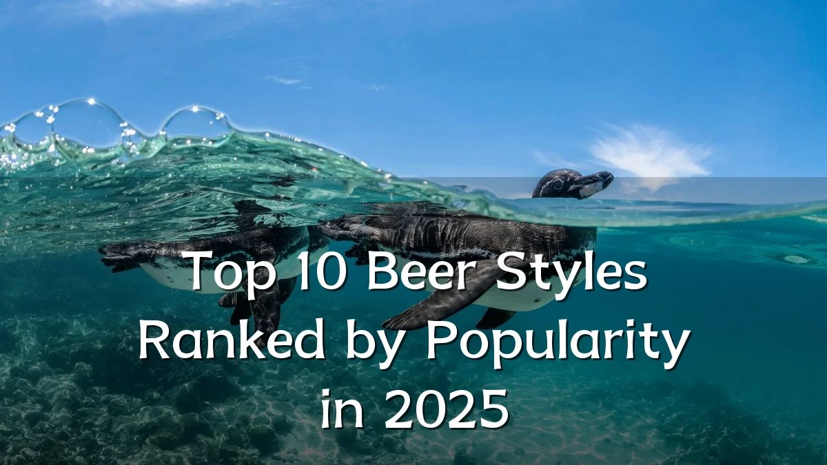 Top 10 Beer Styles Ranked by Popularity in 2025