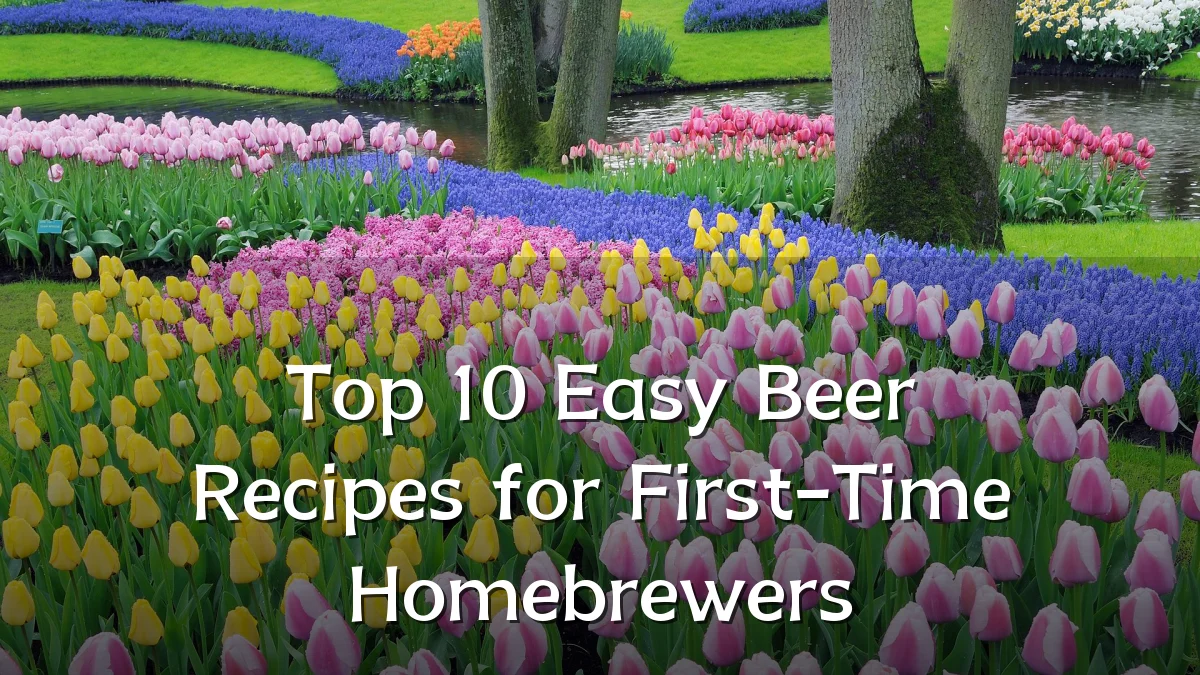 Top 10 Easy Beer Recipes for First-Time Homebrewers
