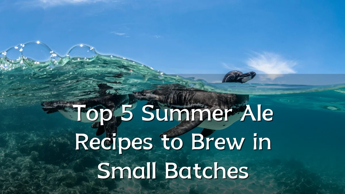 Top 5 Summer Ale Recipes to Brew in Small Batches