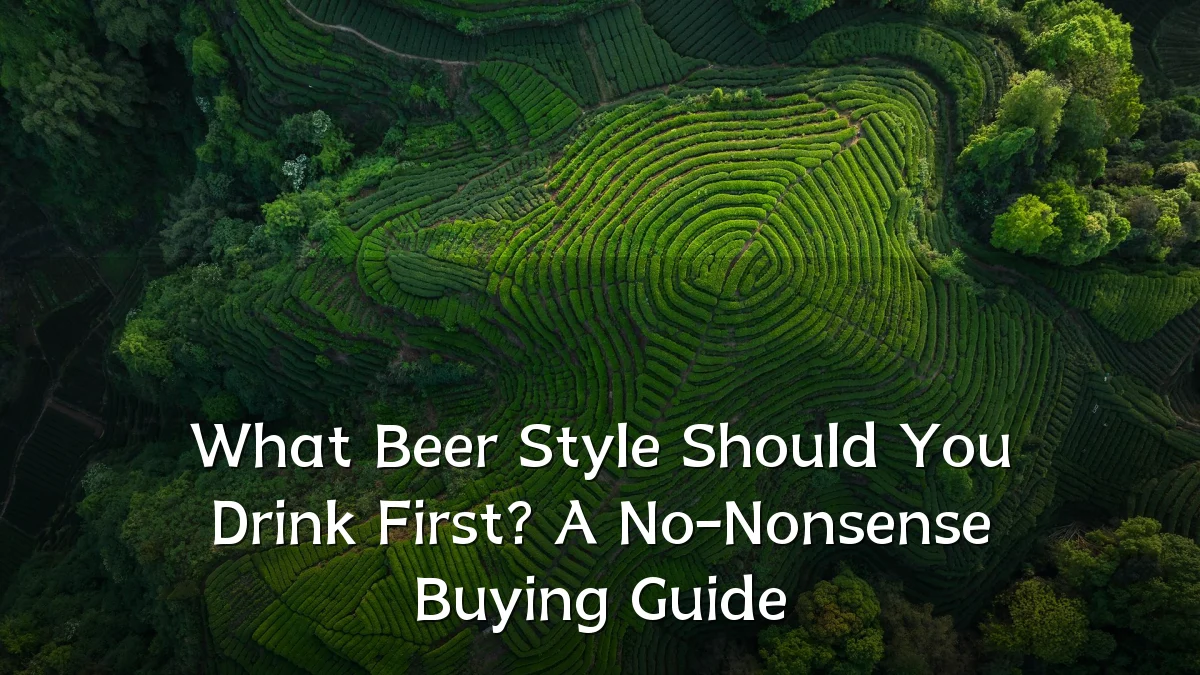 What Beer Style Should You Drink First? A No-Nonsense Buying Guide